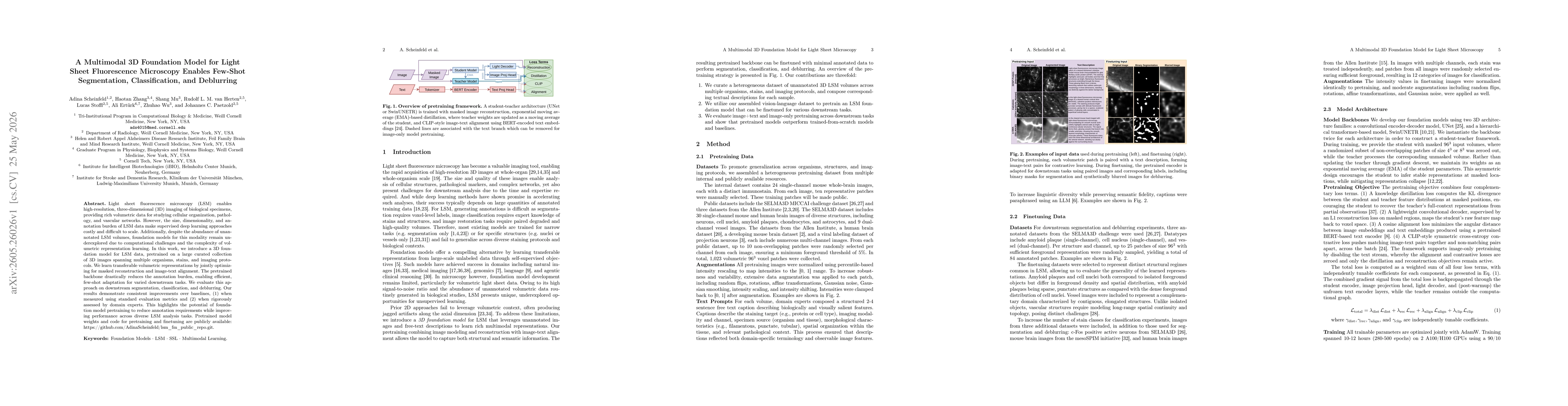 Thumbnail for A Multimodal 3D Foundation Model for Light Sheet Fluorescence Microscopy Enables Few-Shot Segmentation, Classification, and Deblurring