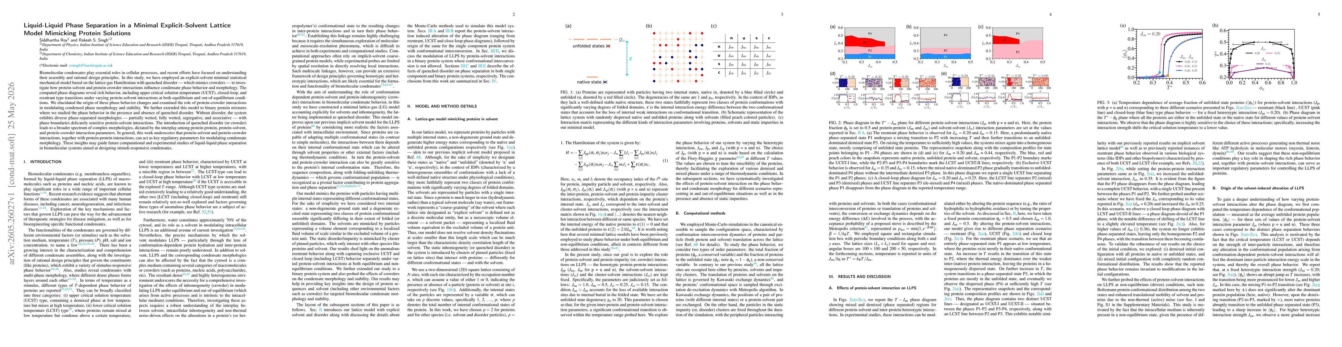 Thumbnail for Liquid-Liquid Phase Separation in a Minimal Explicit-Solvent Lattice Model Mimicking Protein Solutions