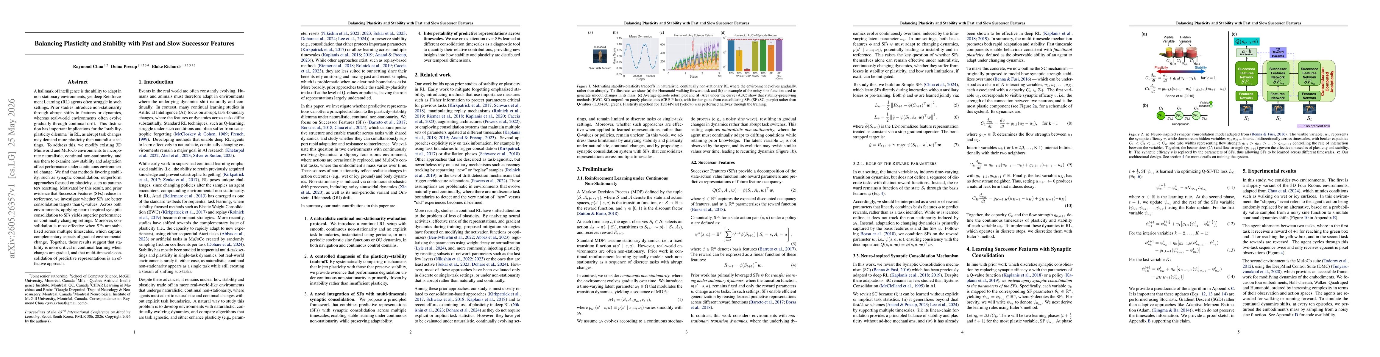 Thumbnail for Balancing Plasticity and Stability with Fast and Slow Successor Features