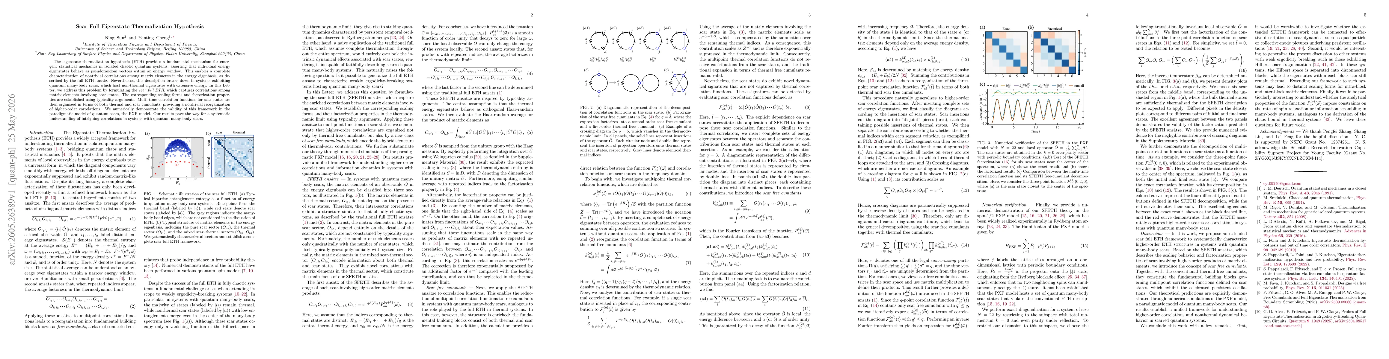 Thumbnail for Scar Full Eigenstate Thermalization Hypothesis