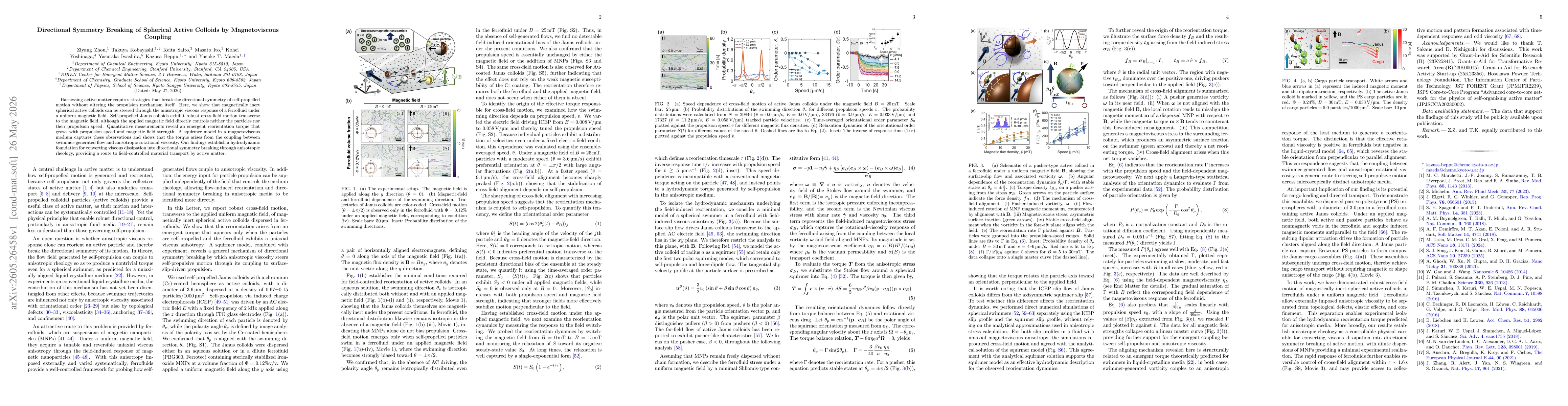 Thumbnail for Directional Symmetry Breaking of Spherical Active Colloids by Magnetoviscous Coupling