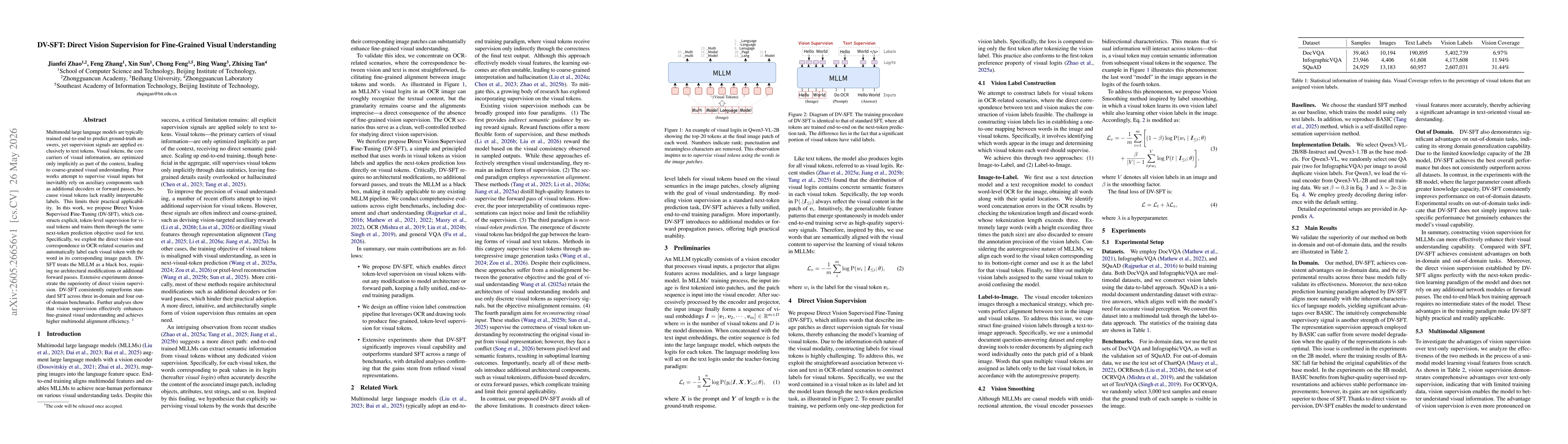 Thumbnail for DV-SFT: Direct Vision Supervision for Fine-Grained Visual Understanding