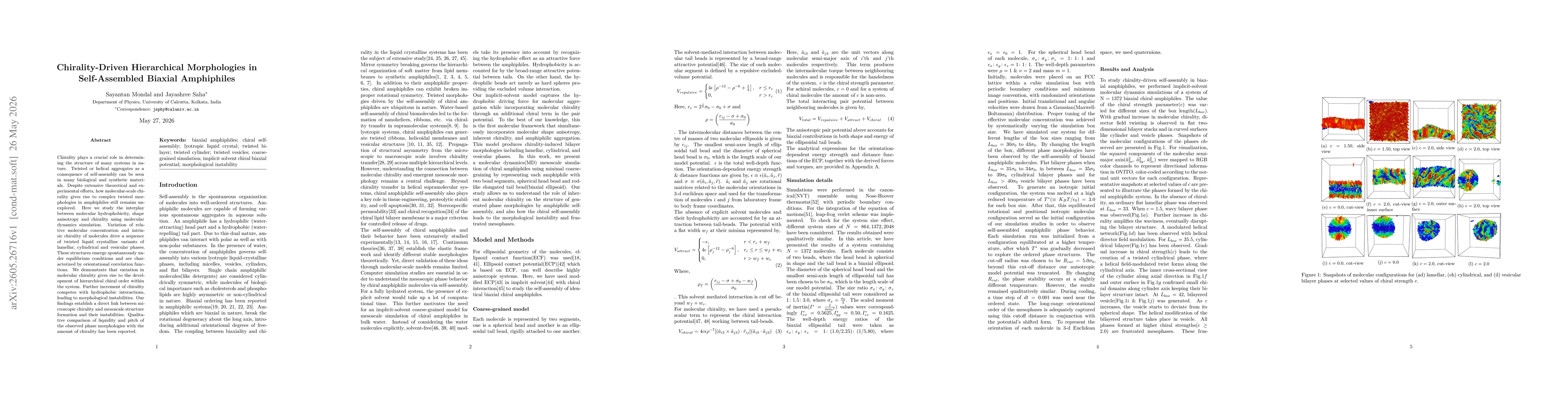 Thumbnail for Chirality-Driven Hierarchical Morphologies in Self-Assembled Biaxial Amphiphiles