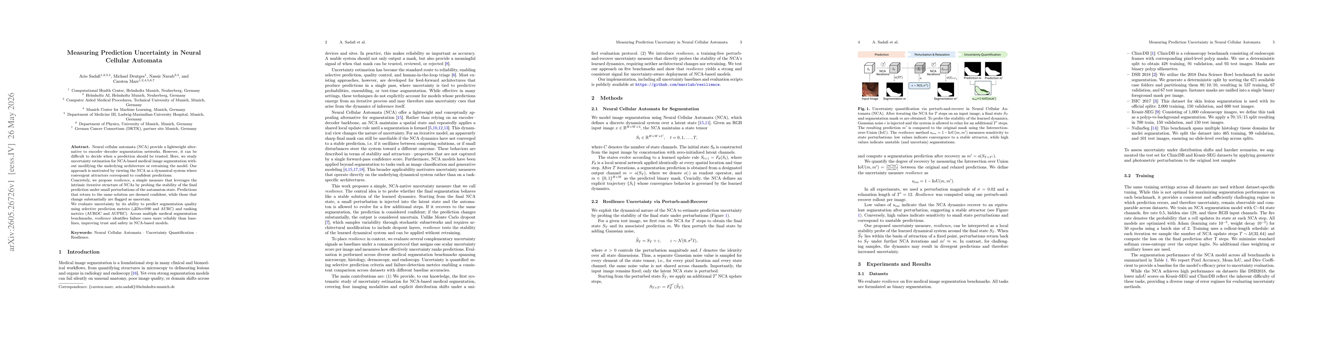Thumbnail for Measuring Prediction Uncertainty in Neural Cellular Automata