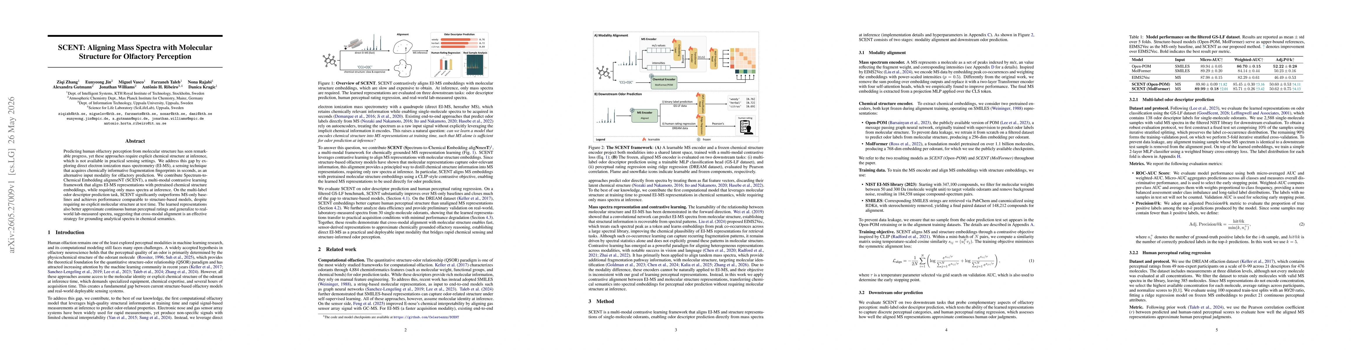 Thumbnail for SCENT: Aligning Mass Spectra with Molecular Structure for Olfactory Perception