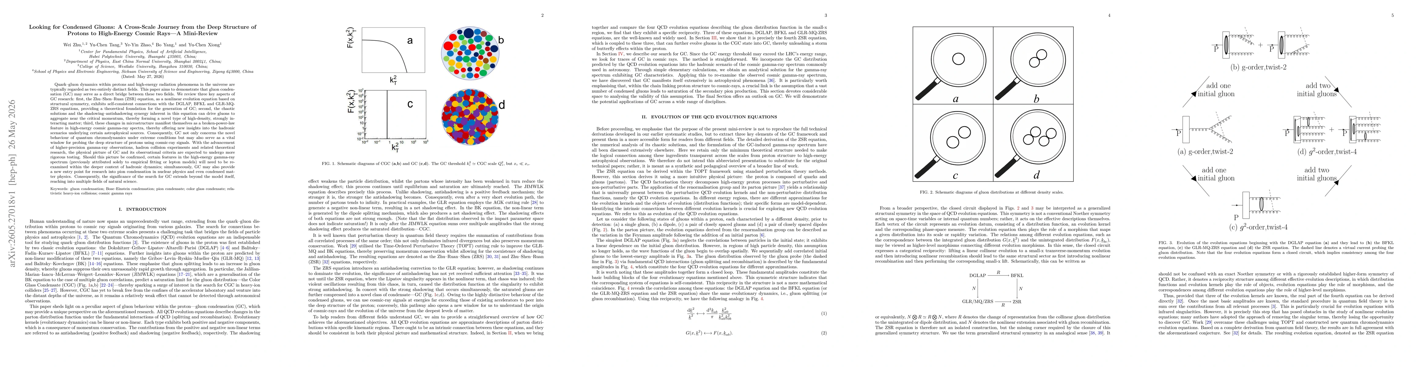 Thumbnail for Looking for Condensed Gluons: A Cross-Scale Journey from the Deep Structure of Protons to High-Energy Cosmic Rays -- A Mini-Review