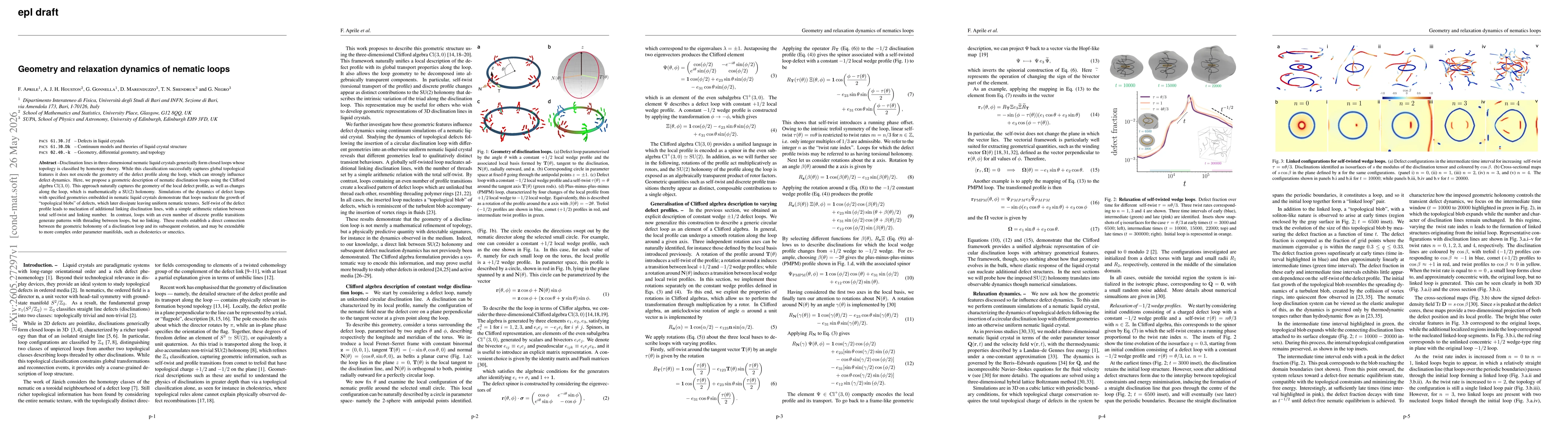 Thumbnail for Geometry and relaxation dynamics of nematic loops