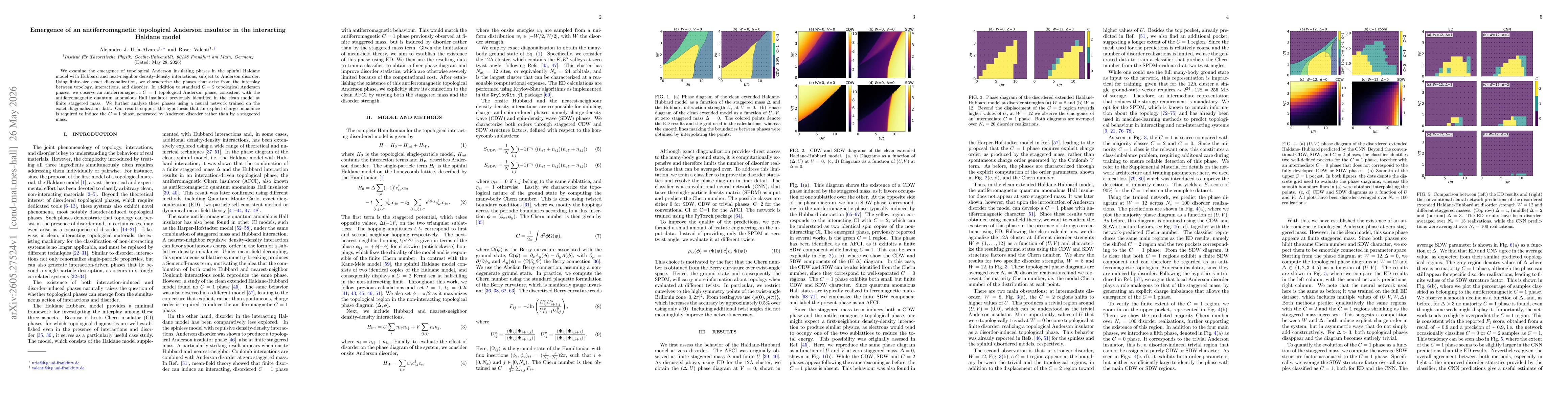 Thumbnail for Emergence of an antiferromagnetic topological Anderson insulator in the interacting Haldane model