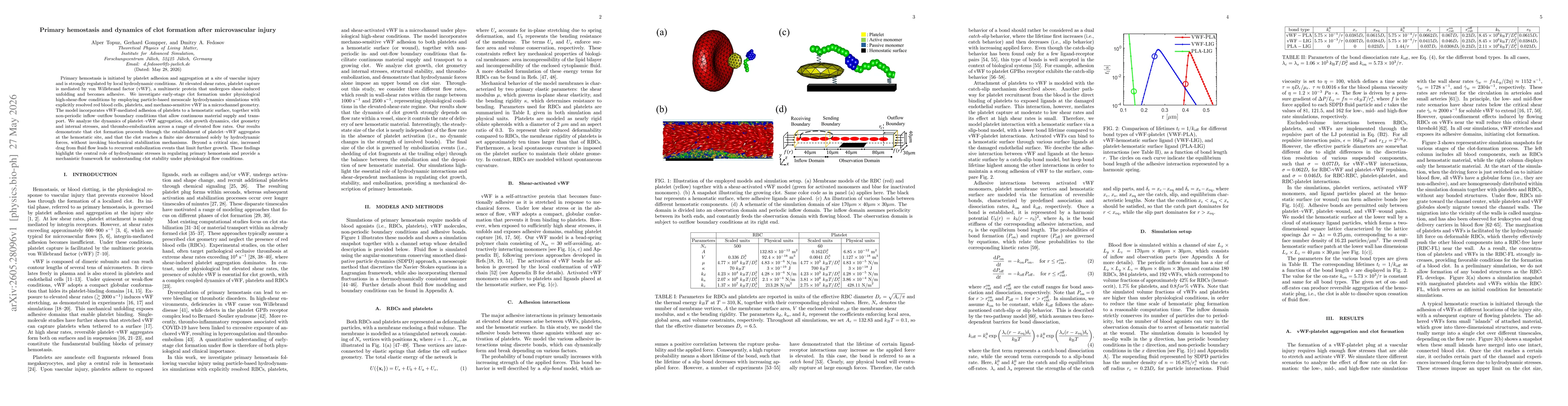 Thumbnail for Primary hemostasis and dynamics of clot formation after microvascular injury