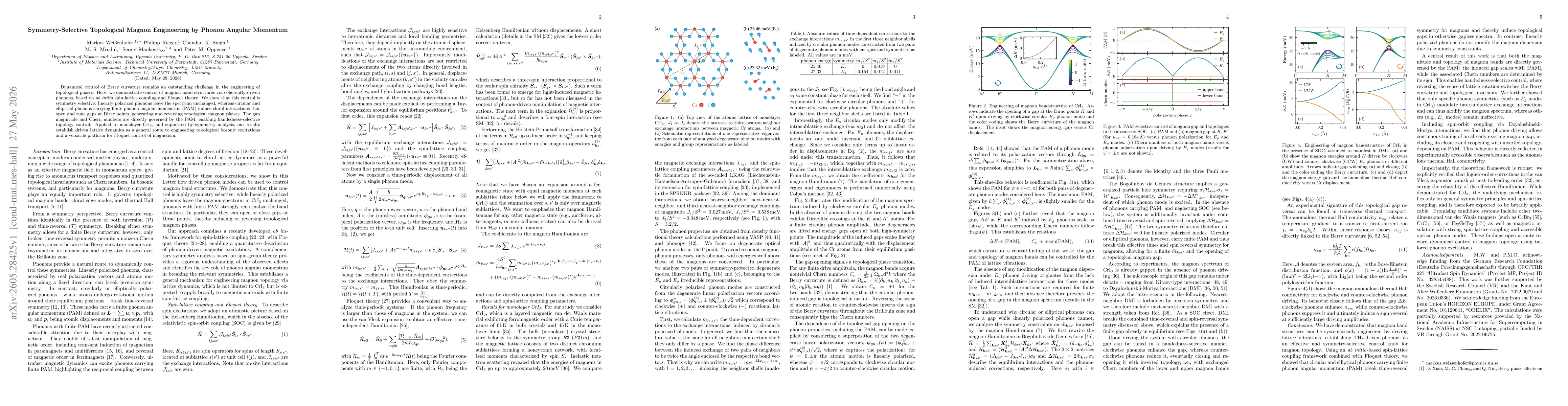 Thumbnail for Symmetry-Selective Topological Magnon Engineering by Phonon Angular Momentum