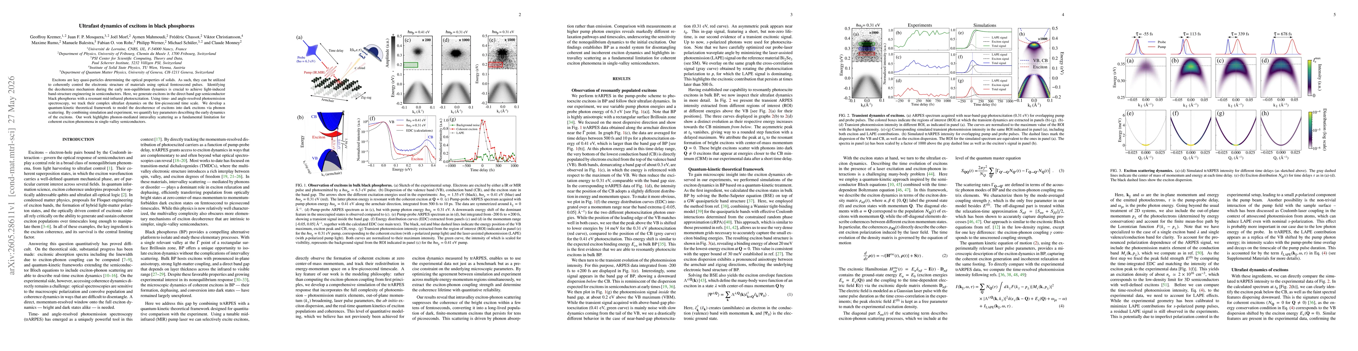 Thumbnail for Ultrafast dynamics of excitons in black phosphorus