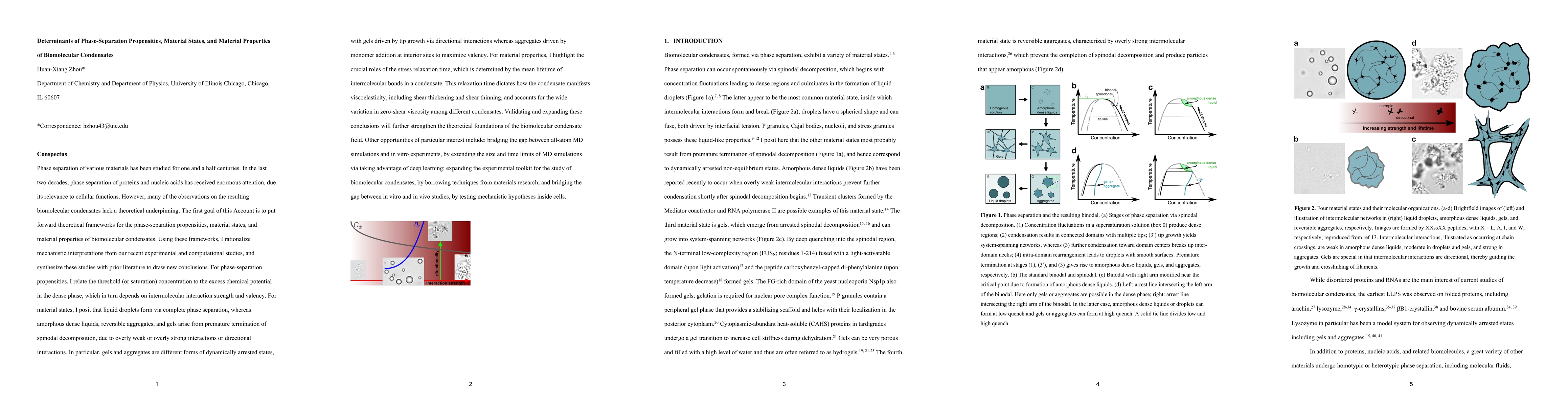 Thumbnail for Determinants of Phase-Separation Propensities, Material States, and Material Properties of Biomolecular Condensates