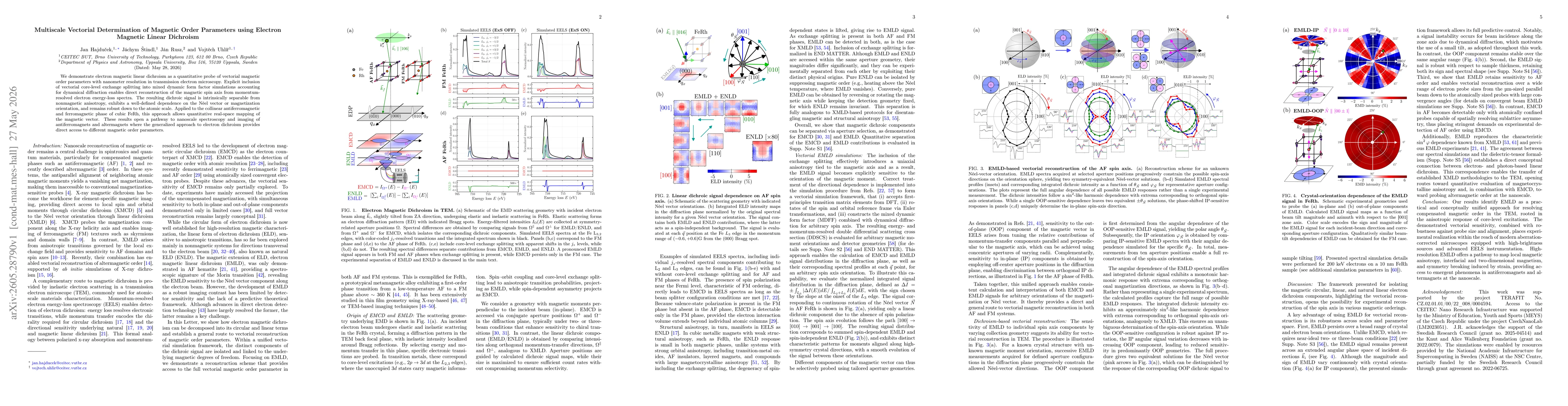 Thumbnail for Multiscale Vectorial Determination of Magnetic Order Parameters using Electron Magnetic Linear Dichroism