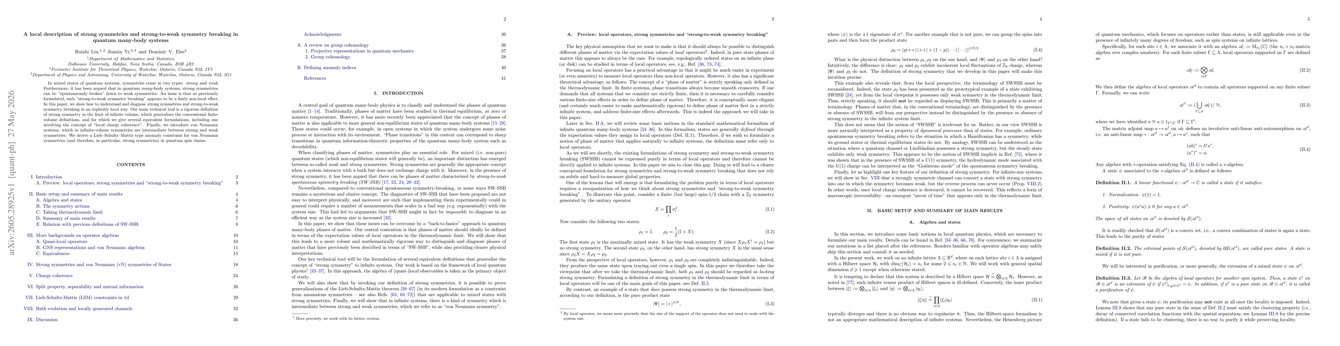 Thumbnail for A local description of strong symmetries and strong-to-weak symmetry breaking in quantum many-body systems