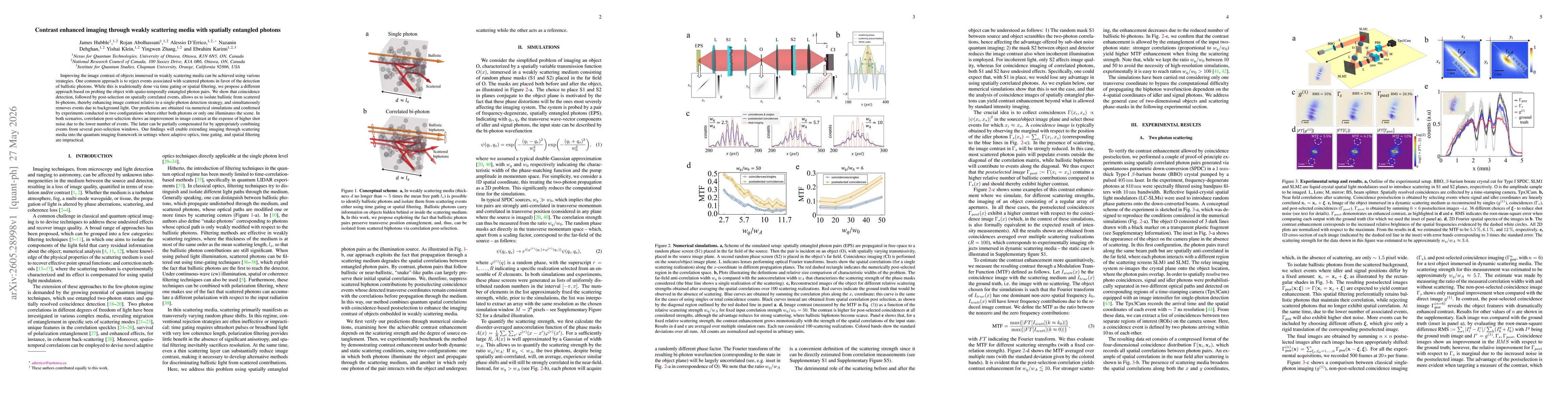 Thumbnail for Contrast enhanced imaging through weakly scattering media with spatially entangled photons