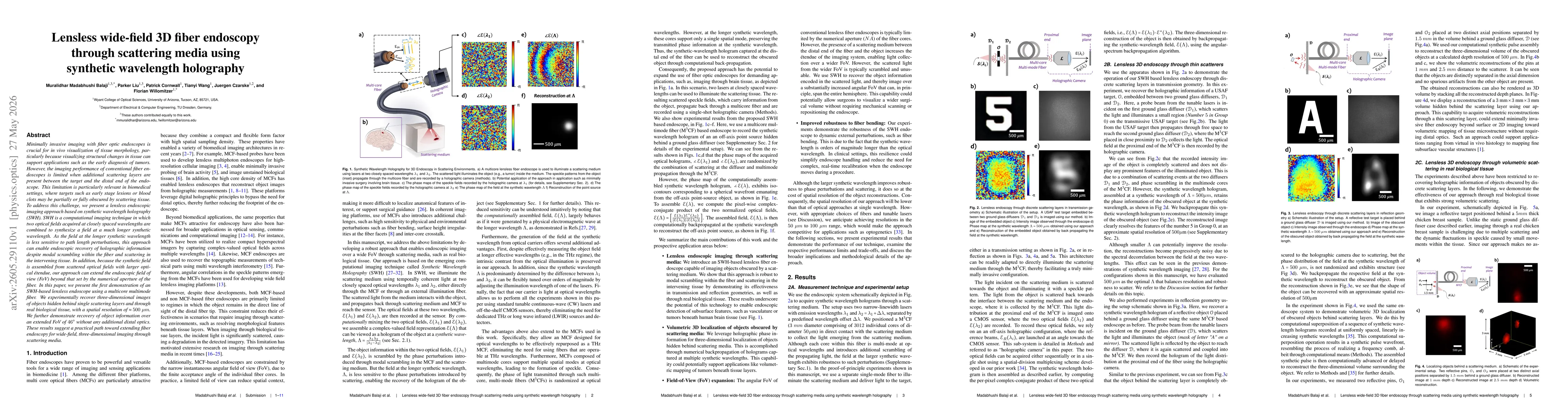 Thumbnail for Lensless wide-field 3D fiber endoscopy through scattering media using synthetic wavelength holography