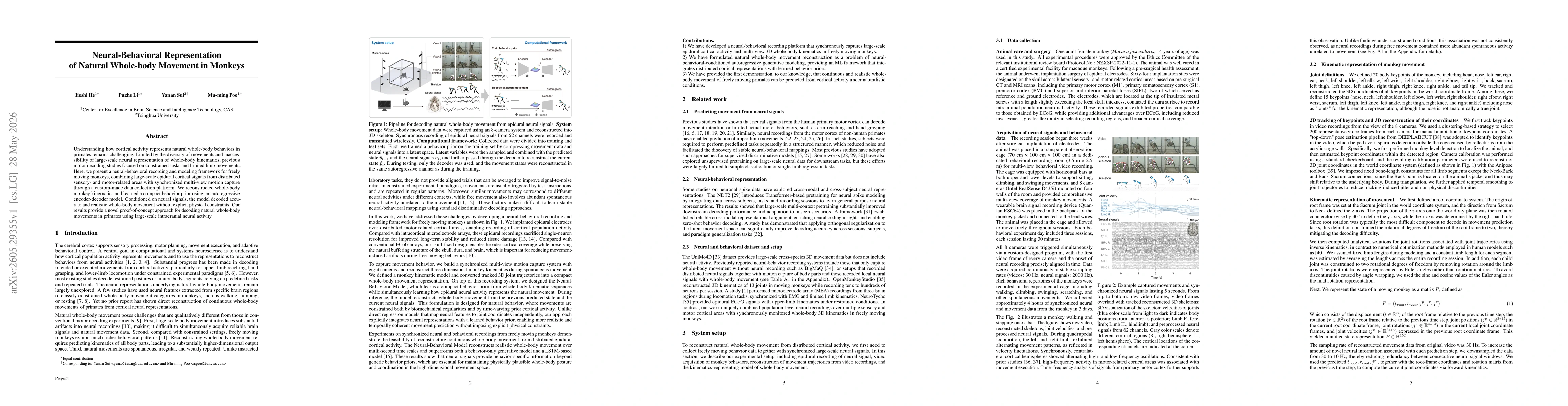 Thumbnail for Neural-Behavioral Representation of Natural Whole-body Movement in Monkeys