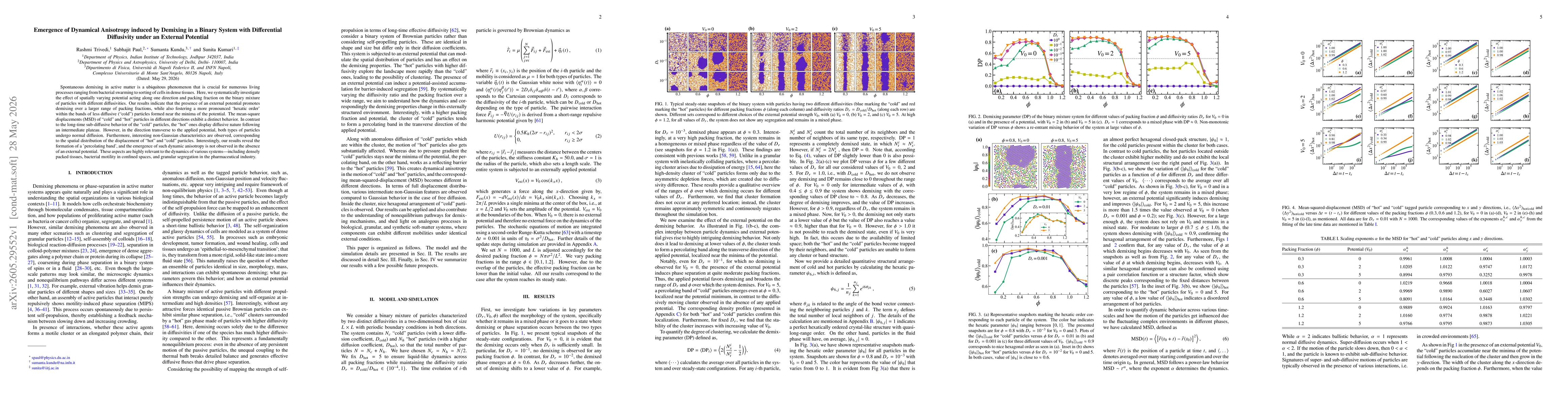 Thumbnail for Emergence of Dynamical Anisotropy induced by Demixing in a Binary System with Differential Diffusivity under an External Potential