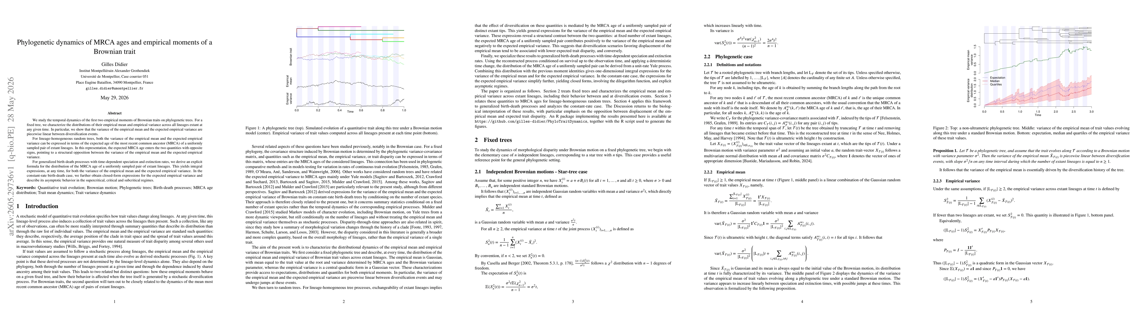 Thumbnail for Phylogenetic dynamics of MRCA ages and empirical moments of a Brownian trait