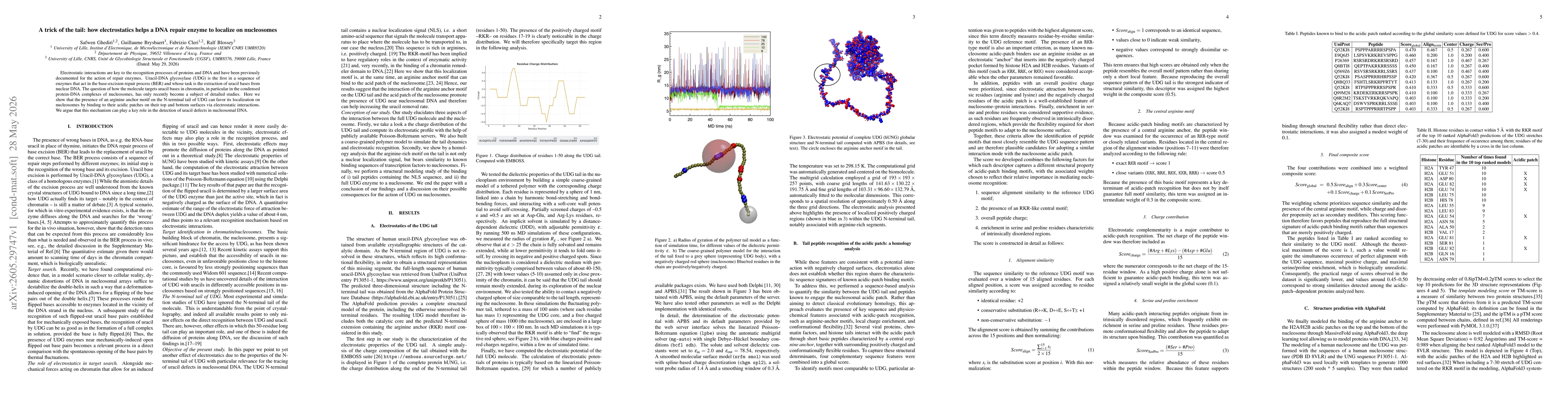 Thumbnail for A trick of the tail: how electrostatics helps a DNA repair enzyme to localize on nucleosomes
