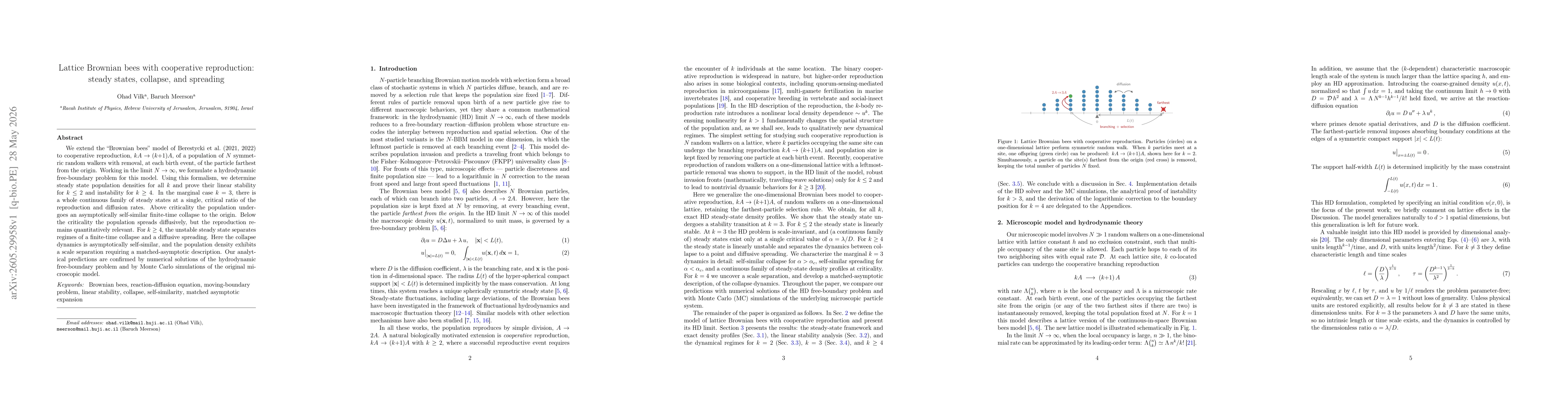 Thumbnail for Lattice Brownian bees with cooperative reproduction: steady states, collapse, and spreading