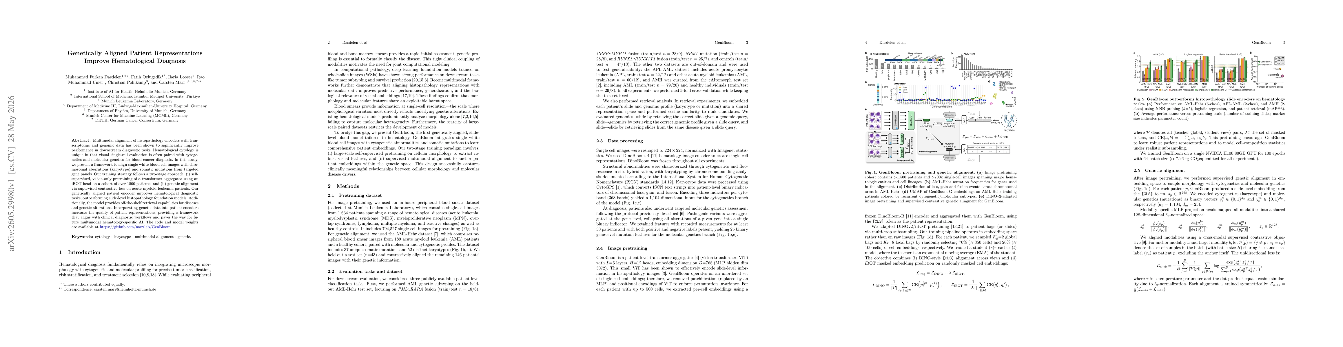 Thumbnail for Genetically Aligned Patient Representations Improve Hematological Diagnosis