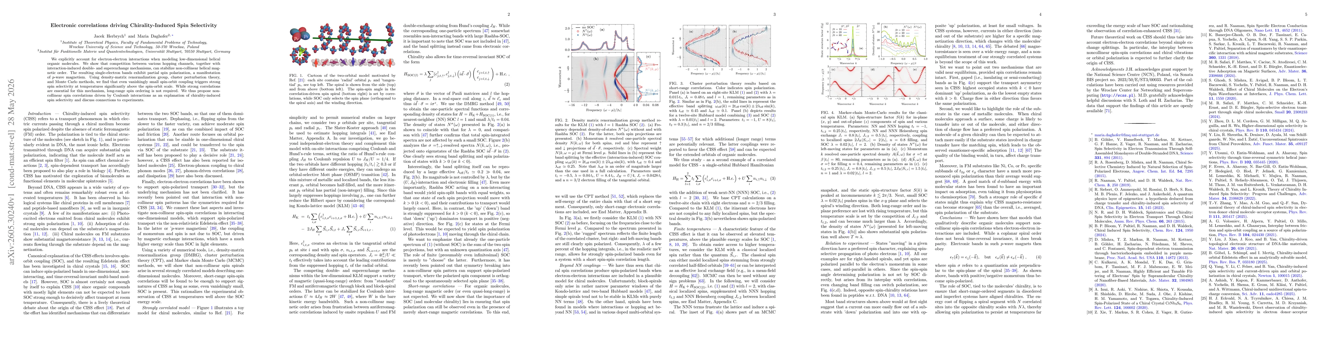 Thumbnail for Electronic correlations driving Chirality-Induced Spin Selectivity