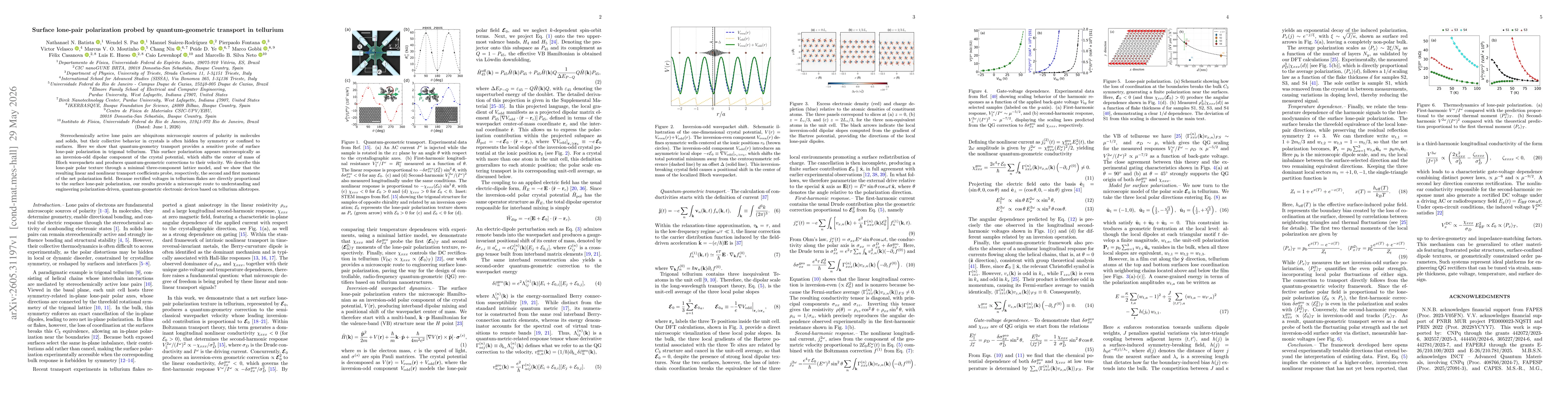 Thumbnail for Surface lone-pair polarization probed by quantum-geometric transport in tellurium