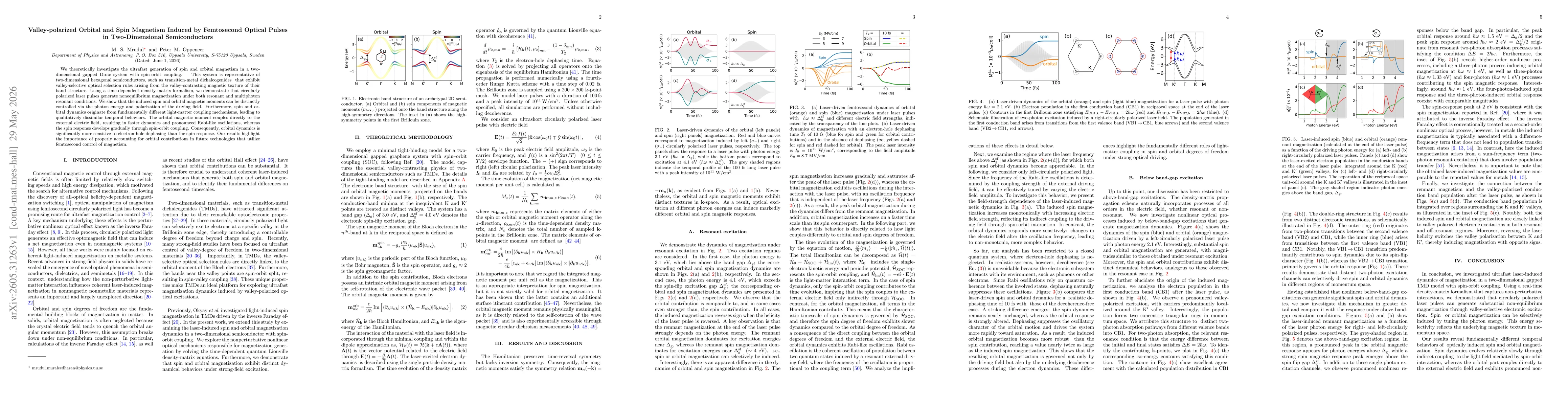 Thumbnail for Valley-polarized Orbital and Spin Magnetism Induced by Femtosecond Optical Pulses in Two-Dimensional Semiconductors