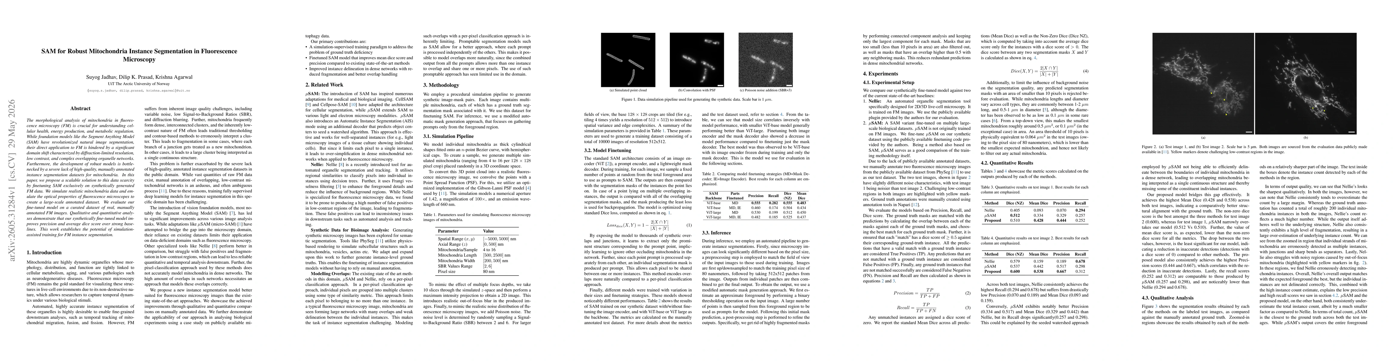 Thumbnail for SAM for Robust Mitochondria Instance Segmentation in Fluorescence Microscopy