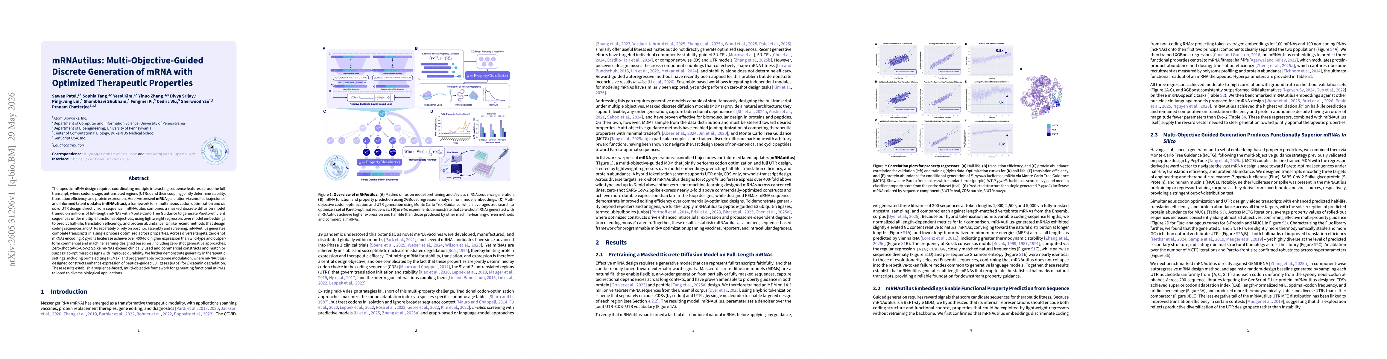 Thumbnail for mRNAutilus: Multi-Objective-Guided Discrete Generation of mRNA with Optimized Therapeutic Properties