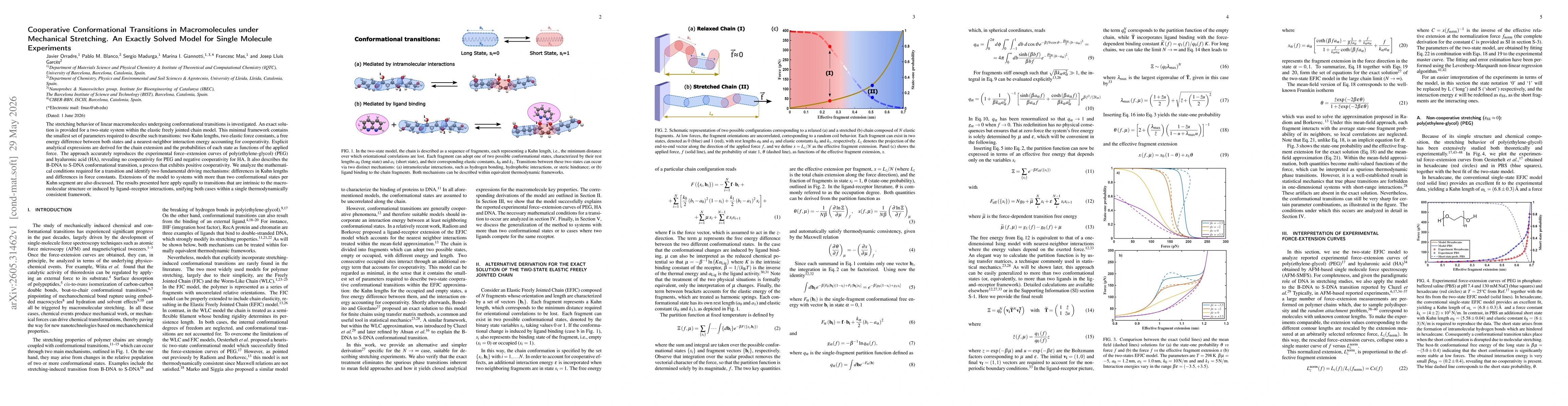 Thumbnail for Cooperative Conformational Transitions in Macromolecules under Mechanical Stretching. An Exactly Solved Model for Single Molecule Experiments