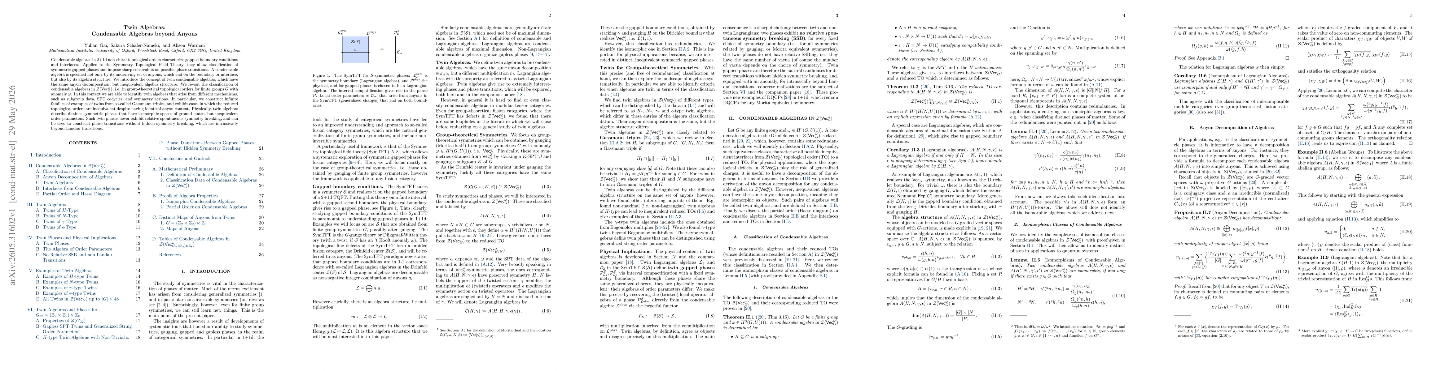 Thumbnail for Twin Algebras: Condensable Algebras beyond Anyons