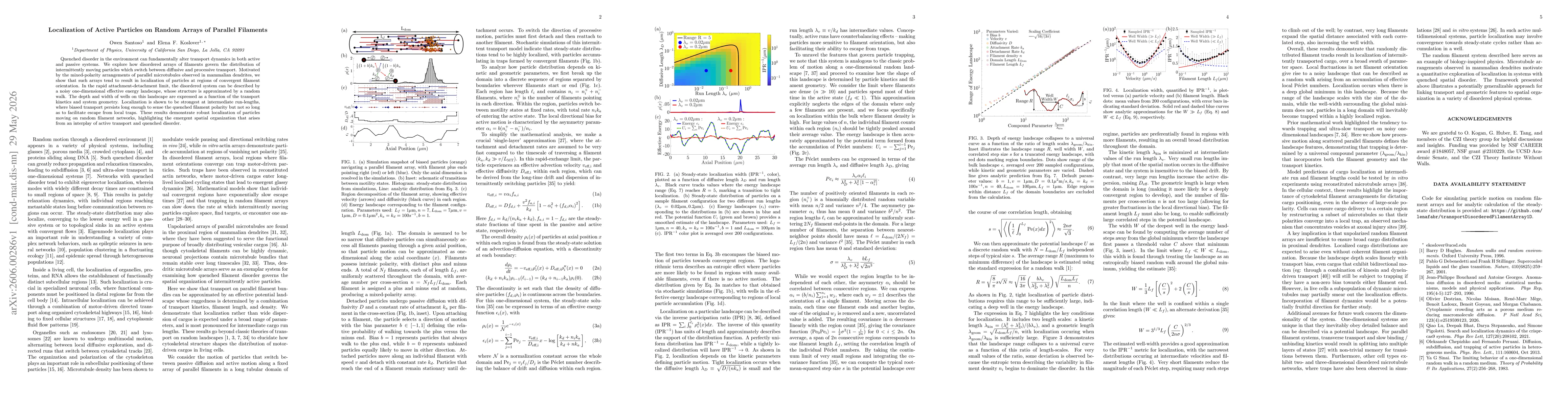 Thumbnail for Localization of Active Particles on Random Arrays of Parallel Filaments