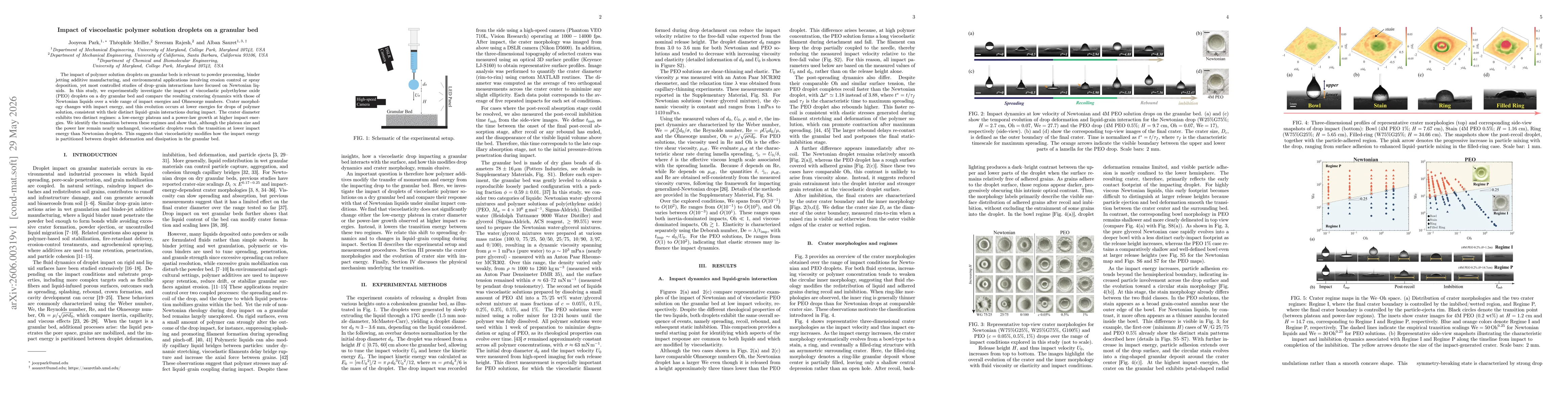 Thumbnail for Impact of viscoelastic polymer solution droplets on a granular bed