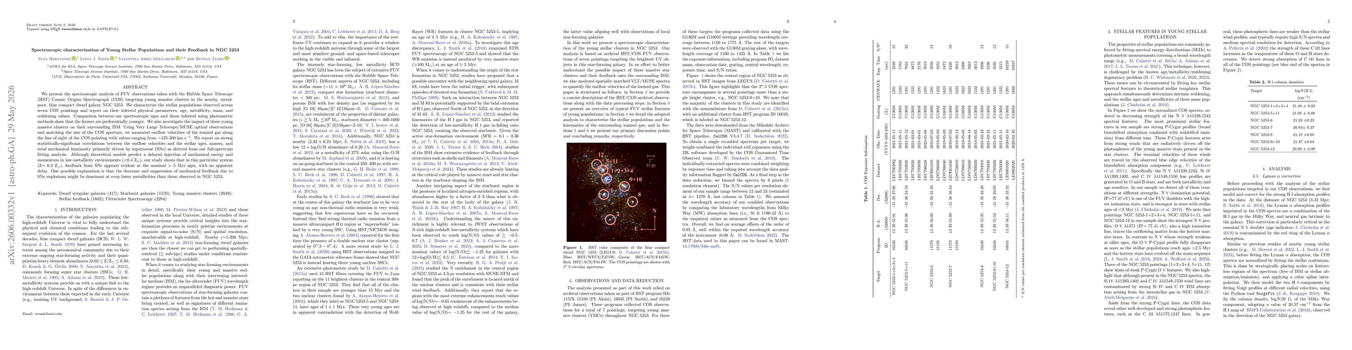 Thumbnail for Spectroscopic characterization of Young Stellar Populations and their Feedback in NGC 5253