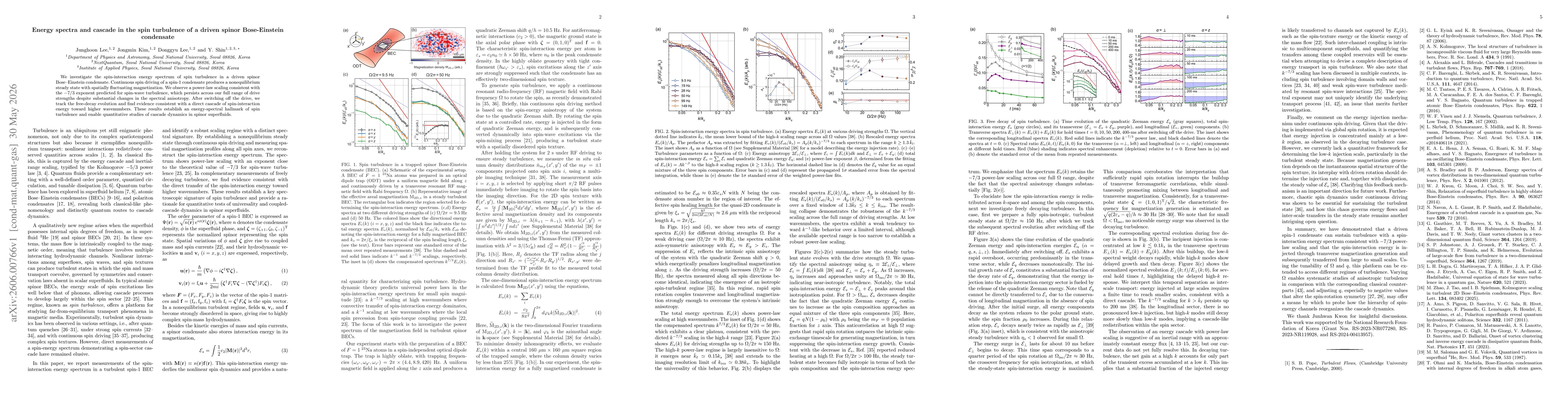 Thumbnail for Energy spectra and cascade in the spin turbulence of a driven spinor Bose-Einstein condensate