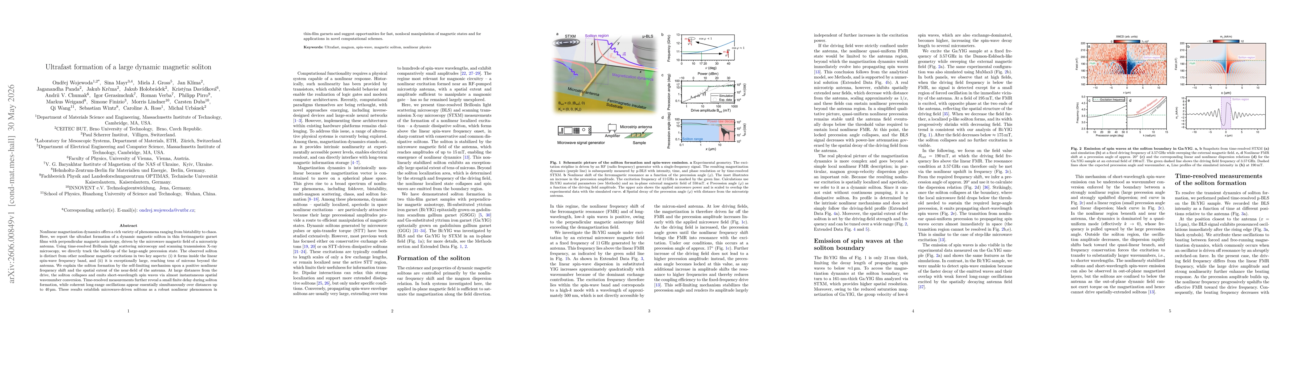 Thumbnail for Ultrafast formation of a large dynamic magnetic soliton