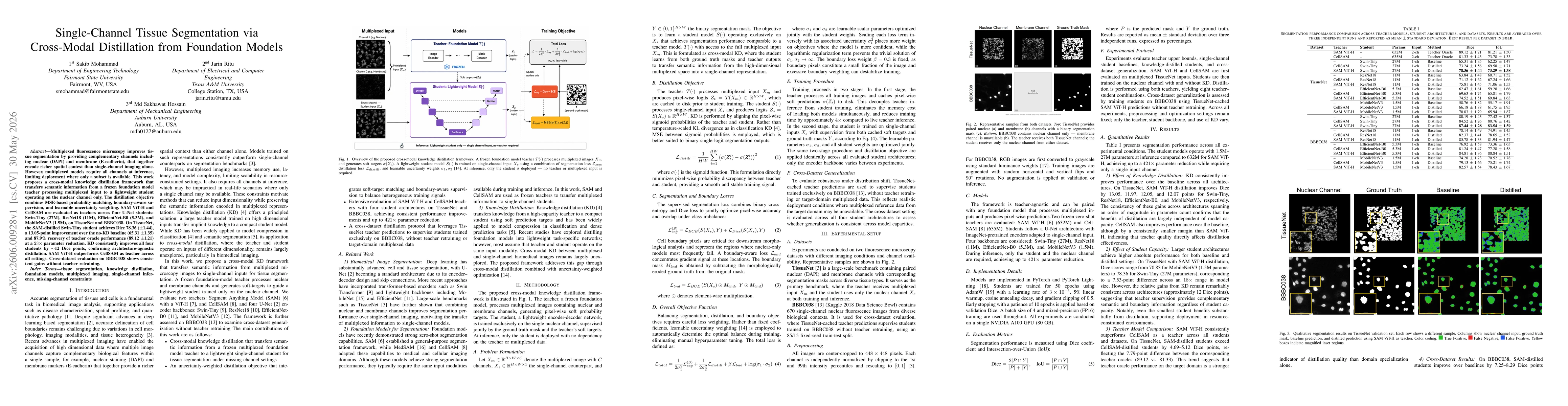 Thumbnail for Single-Channel Tissue Segmentation via Cross-Modal Distillation from Foundation Models