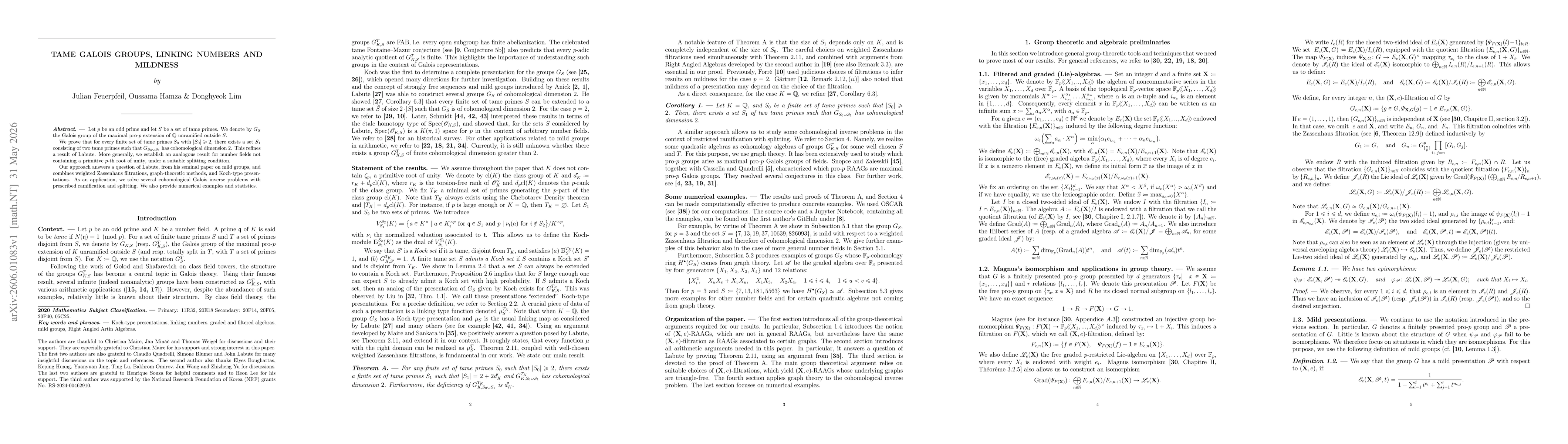 Thumbnail for Tame Galois Groups, Linking Numbers and Mildness