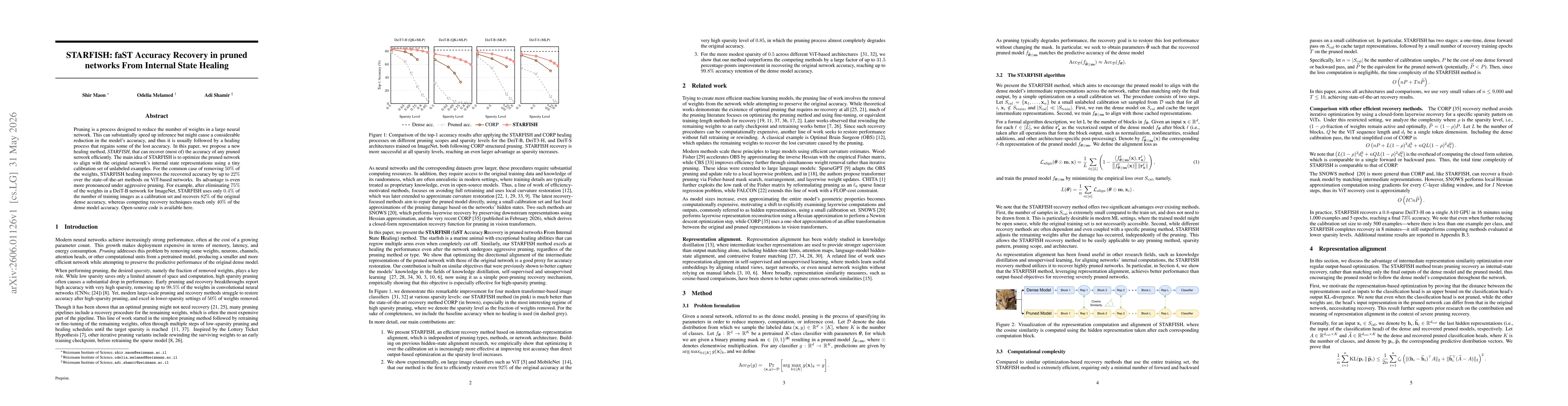 Thumbnail for STARFISH: faST Accuracy Recovery in pruned networks From Internal State Healing