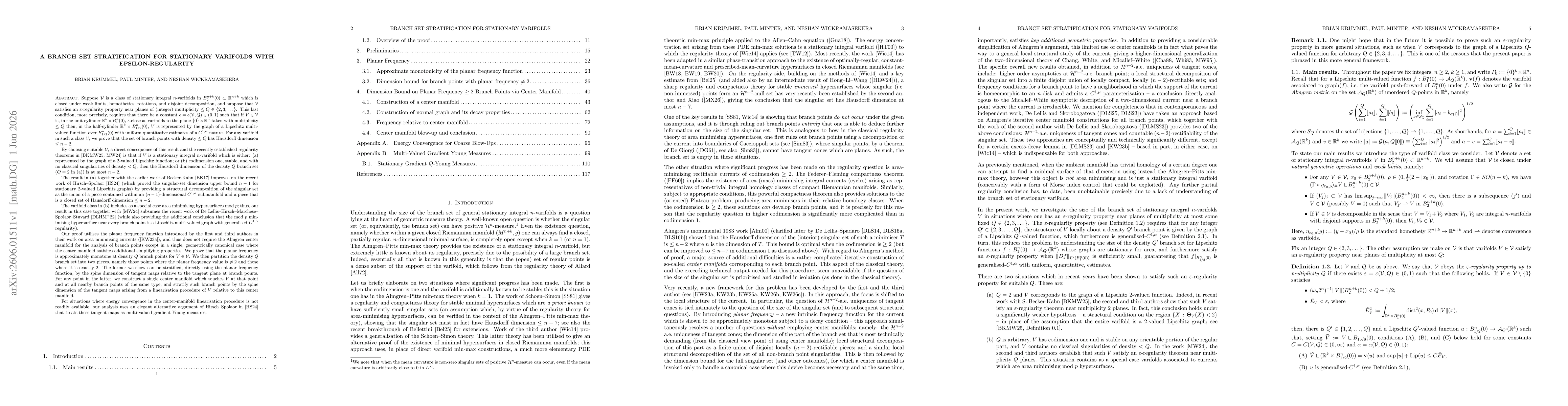 Thumbnail for A Branch Set Stratification for Stationary Varifolds with Epsilon-Regularity