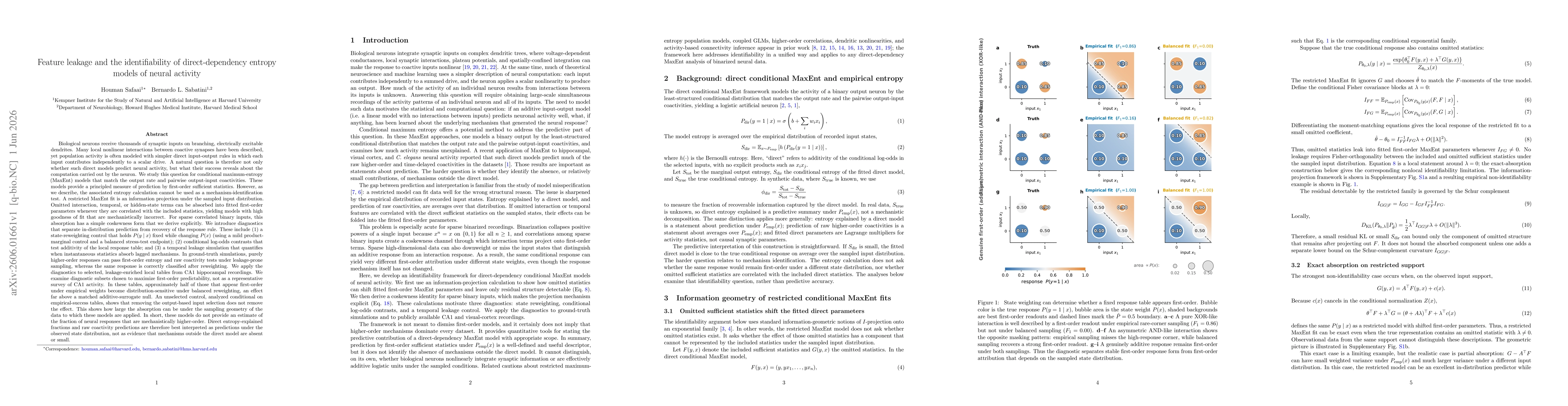 Thumbnail for Feature leakage and the identifiability of direct-dependency entropy models of neural activity