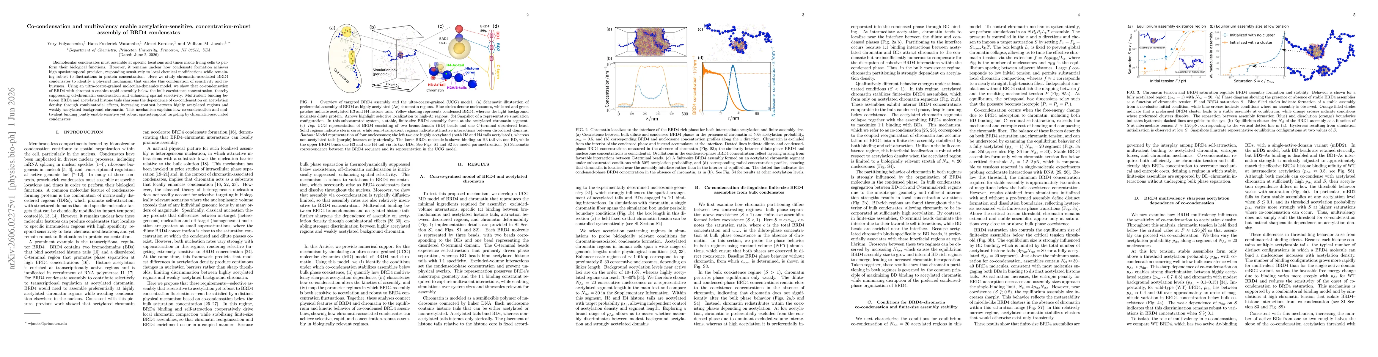 Thumbnail for Co-condensation and multivalency enable acetylation-sensitive, concentration-robust assembly of BRD4 condensates