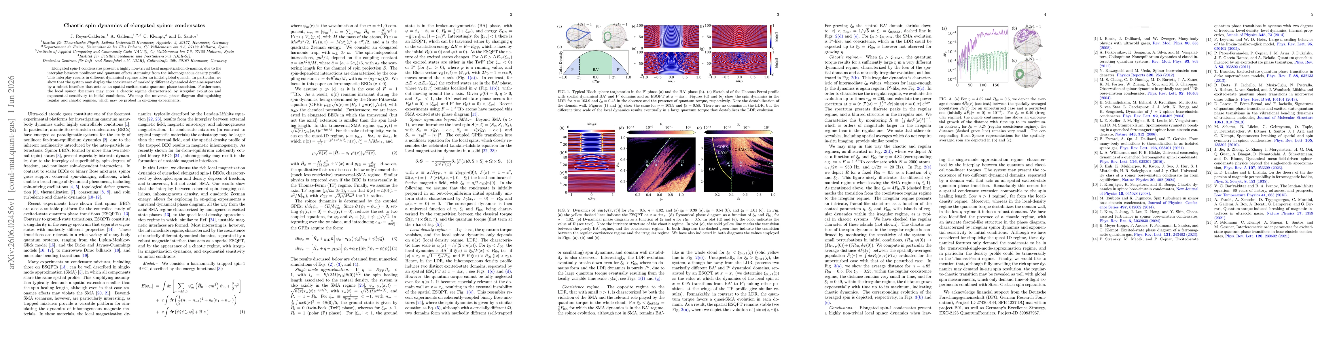 Thumbnail for Chaotic spin dynamics of elongated spinor condensates