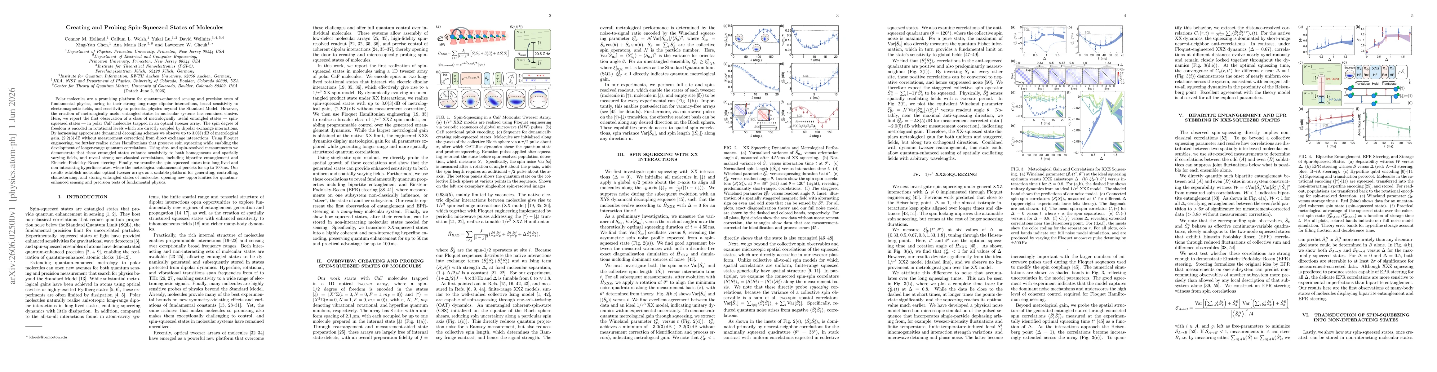 Thumbnail for Creating and Probing Spin-Squeezed States of Molecules