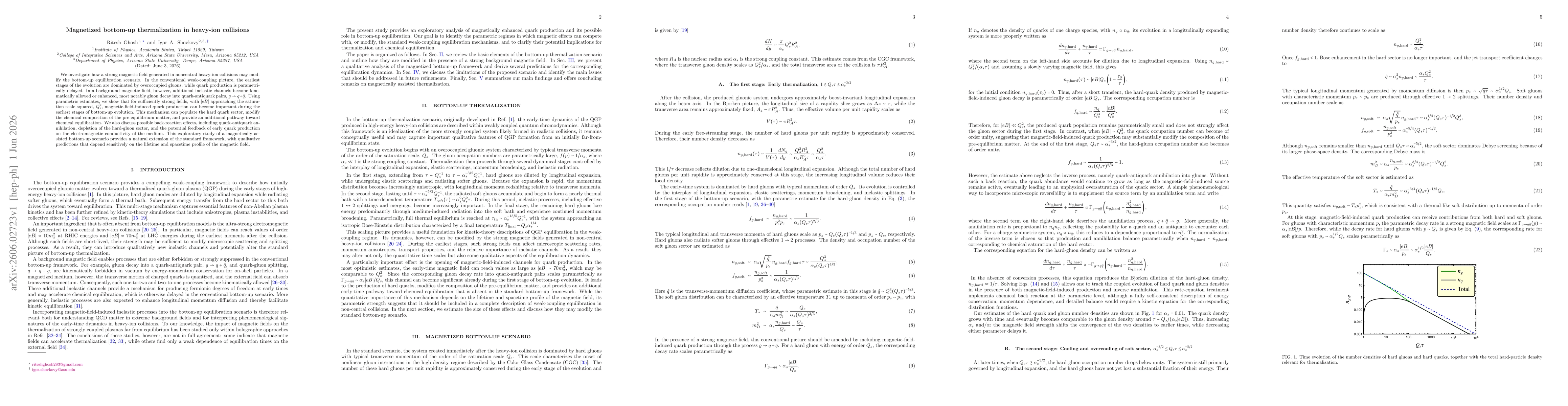 Thumbnail for Magnetized bottom-up thermalization in heavy-ion collisions
