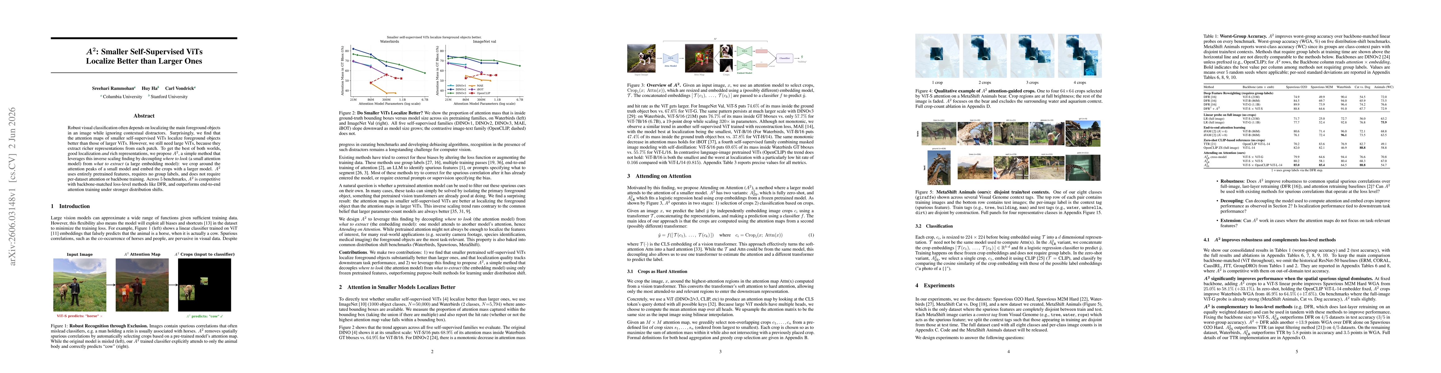 Thumbnail for $A^2$: Smaller Self-Supervised ViTs Localize Better than Larger Ones