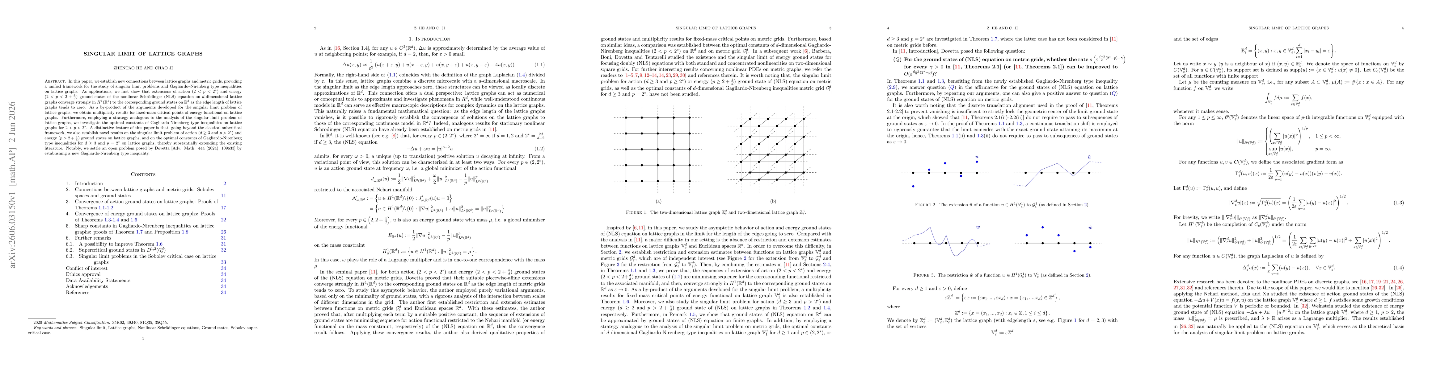 Thumbnail for Singular limit of lattice graphs