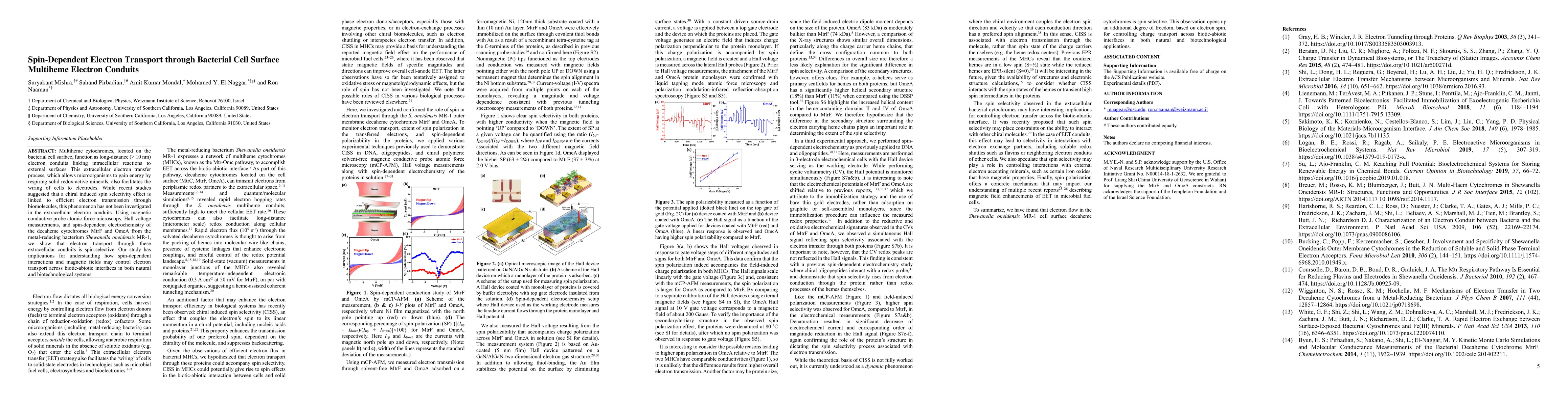 Thumbnail for Spin-Dependent Electron Transport through Bacterial Cell Surface Multiheme Electron Conduits